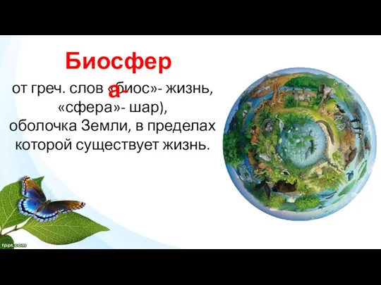 от греч. слов «биос»- жизнь, «сфера»- шар), оболочка Земли, в пределах которой существует жизнь. Биосфера-