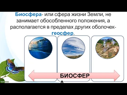 Биосфера- или сфера жизни Земли, не занимает обособленного положения, а располагается