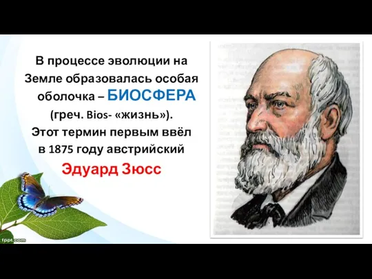 В процессе эволюции на Земле образовалась особая оболочка – БИОСФЕРА (греч.