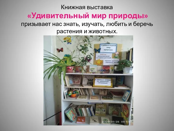 Книжная выставка «Удивительный мир природы» призывает нас знать, изучать, любить и беречь растения и животных.