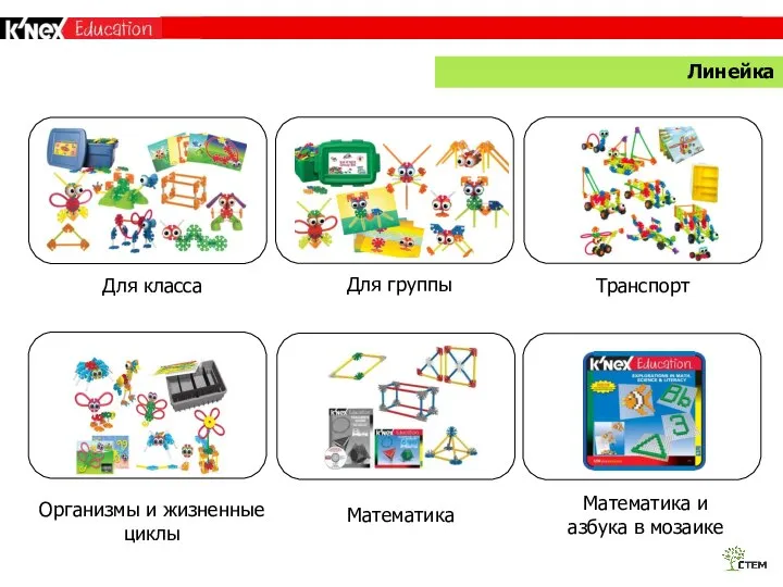 ПРЕВОСХОДЯ СТАНДАРТЫ Для класса Для группы Транспорт Организмы и жизненные циклы