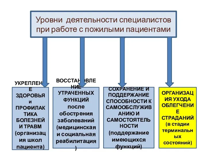 Уровни деятельности медсестры ВОССТАНОВЛЕНИЕ УТРАЧЕННЫХ ФУНКЦИЙ после обострения заболеваний (медицинская и