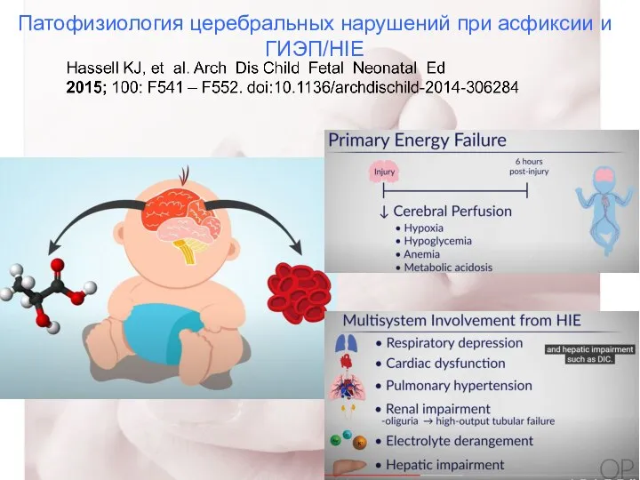 Патофизиология церебральных нарушений при асфиксии и ГИЭП/HIE