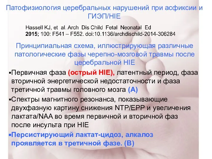 Патофизиология церебральных нарушений при асфиксии и ГИЭП/HIE Принципиальная схема, иллюстрирующая различные