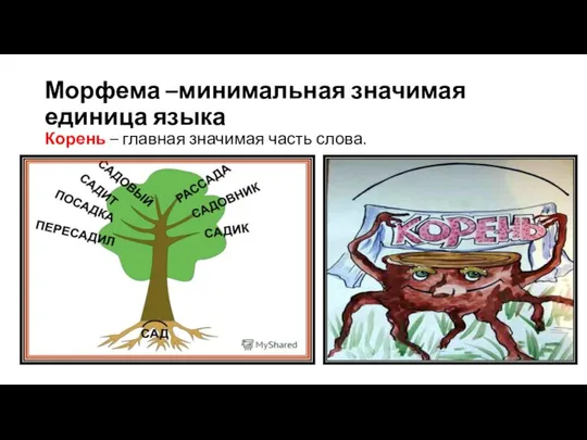 Морфема –минимальная значимая единица языка Корень – главная значимая часть слова. .