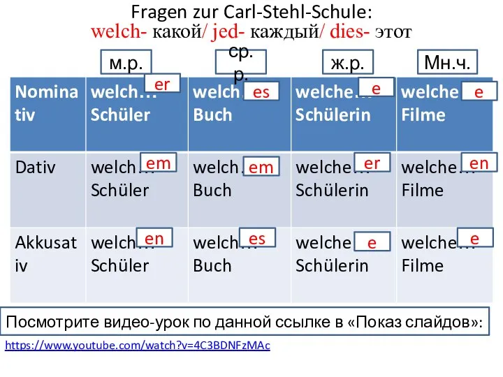 Fragen zur Carl-Stehl-Schule: welch- какой/ jed- каждый/ dies- этот er em