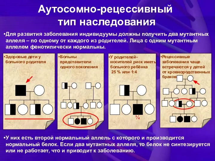 Для развития заболевания индивидуумы должны получить два мутантных аллеля – по