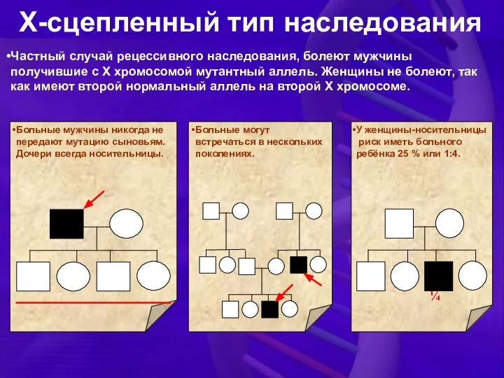 Частный случай рецессивного наследования, болеют мужчины получившие с Х хромосомой мутантный