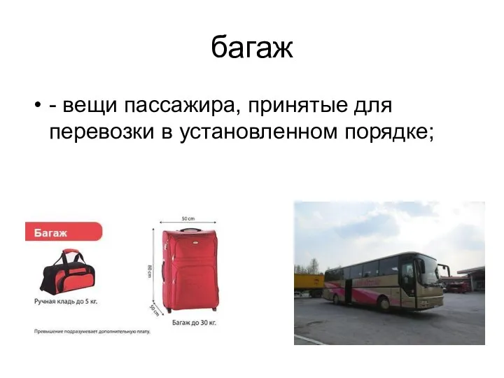 багаж - вещи пассажира, принятые для перевозки в установленном порядке;