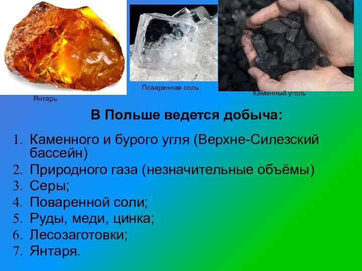 Каменного и бурого угля (Верхне-Силезский бассейн) Природного газа (незначительные объёмы) Серы;