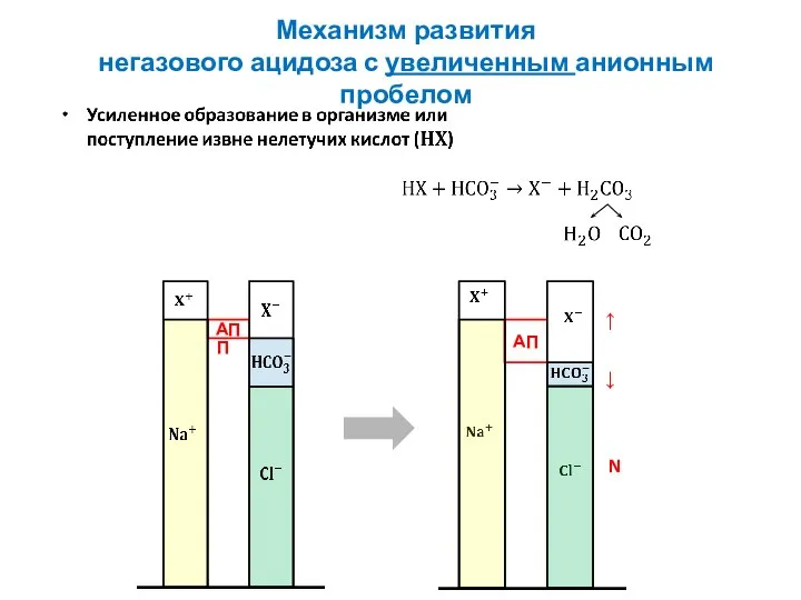 Механизм развития негазового ацидоза с увеличенным анионным пробелом