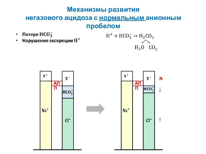 Механизмы развития негазового ацидоза с нормальным анионным пробелом