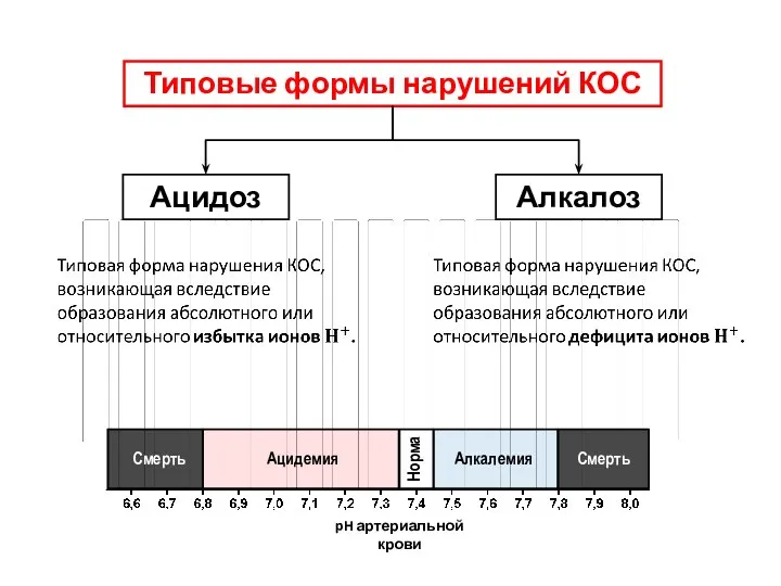 Ацидоз Алкалоз Типовые формы нарушений КОС