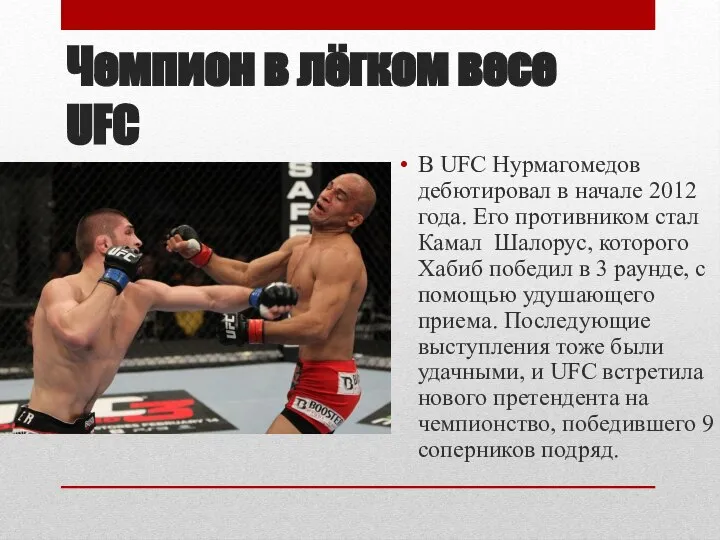 Чемпион в лёгком весе UFC В UFC Нурмагомедов дебютировал в начале