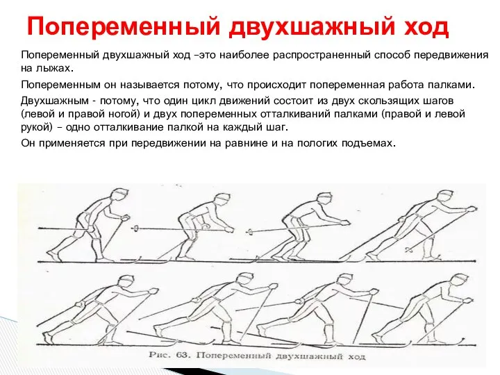 Попеременный двухшажный ход –это наиболее распространенный способ передвижения на лыжах. Попеременным