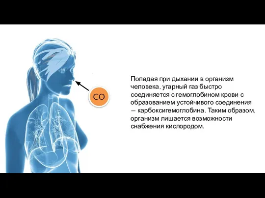 Попадая при дыхании в организм человека, угарный газ быстро соединяется с