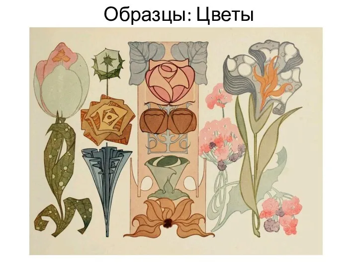 Образцы: Цветы