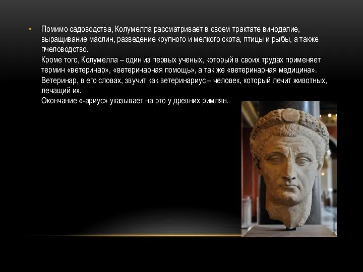 Помимо садоводства, Колумелла рассматривает в своем трактате виноделие, выращивание маслин, разведение