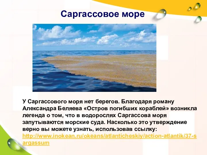 Саргассовое море У Саргассового моря нет берегов. Благодаря роману Александра Беляева