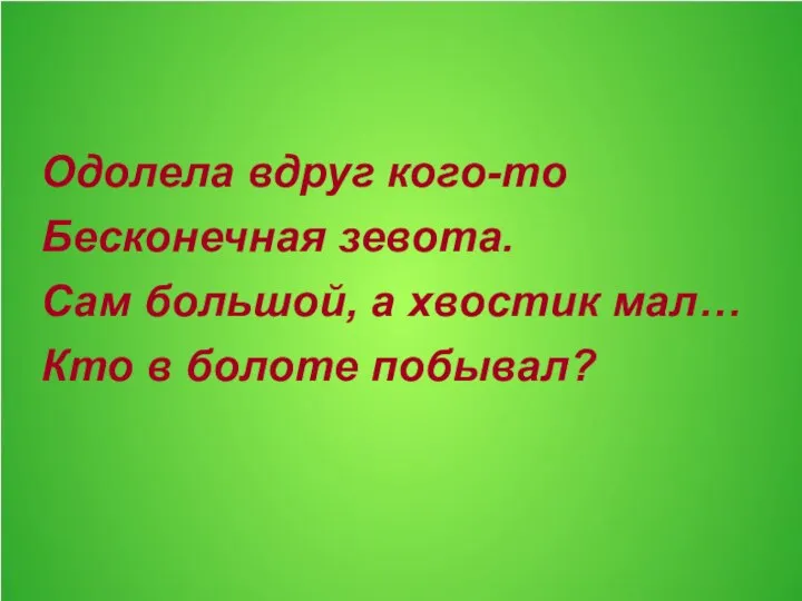 Одолела вдруг кого-то Бесконечная зевота. Сам большой, а хвостик мал… Кто в болоте побывал?