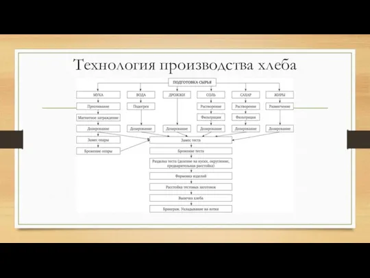 Технология производства хлеба