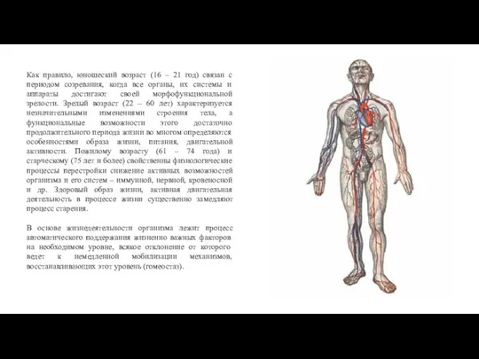 Как правило, юношеский возраст (16 – 21 год) связан с периодом