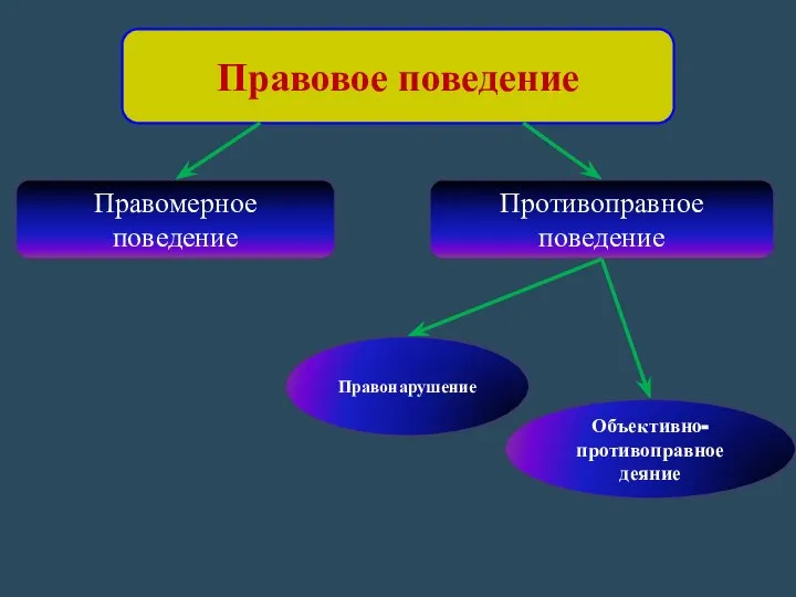 Правовое поведение Правомерное поведение Противоправное поведение Объективно-противоправное деяние Правонарушение