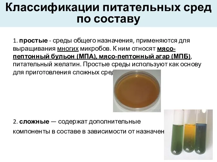 Классификации питательных сред по составу 1. простые - среды общего назначения,