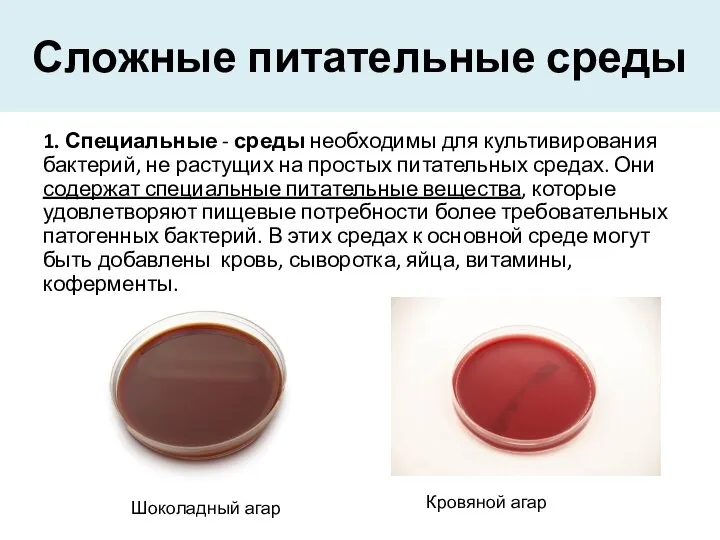 Сложные питательные среды 1. Специальные - среды необходимы для культивирования бактерий,