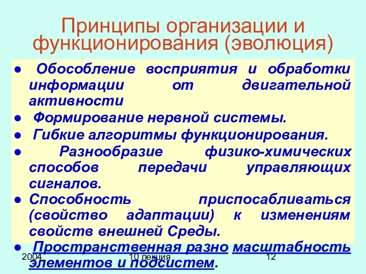 2004 10 лекция Принципы организации и функционирования (эволюция) Обособление восприятия и