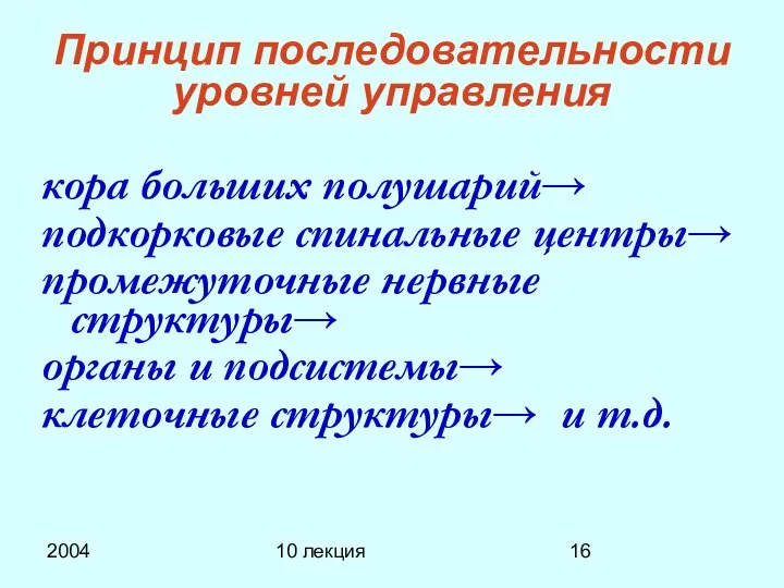 2004 10 лекция Принцип последовательности уровней управления кора больших полушарий→ подкорковые