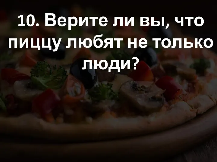 10. Верите ли вы, что пиццу любят не только люди?