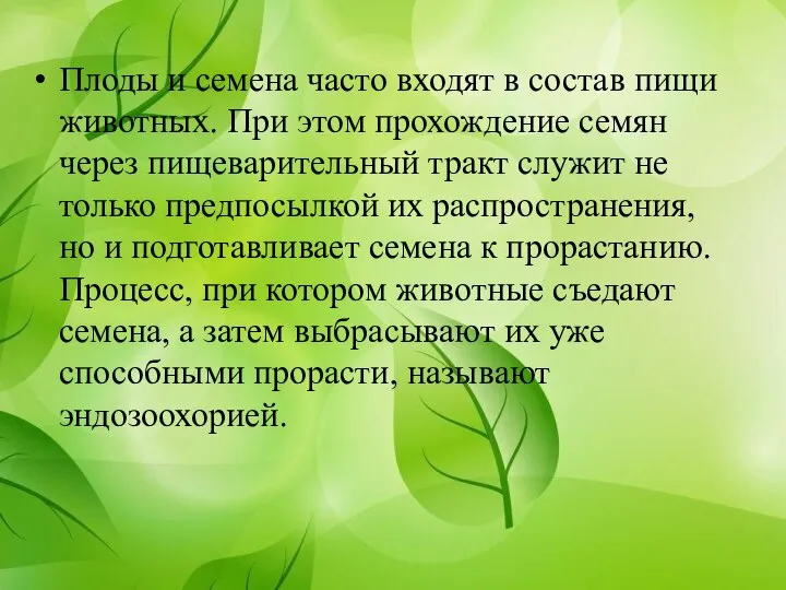 Плоды и семена часто входят в состав пищи животных. При этом