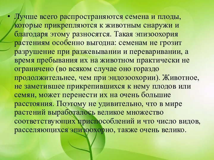 Лучше всего распространяются семена и плоды, которые прикрепляются к животным снаружи