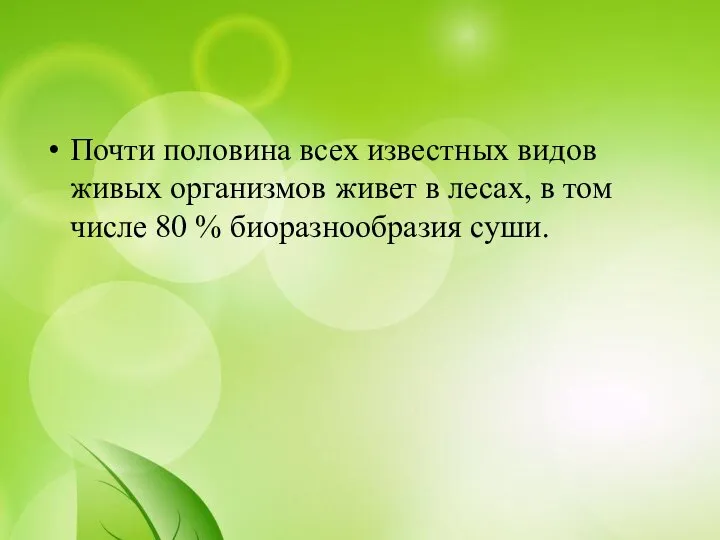 Почти половина всех известных видов живых организмов живет в лесах, в