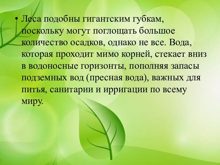 Леса подобны гигантским губкам, поскольку могут поглощать большое количество осадков, однако