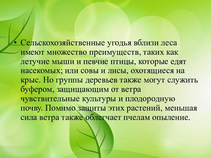 Сельскохозяйственные угодья вблизи леса имеют множество преимуществ, таких как летучие мыши