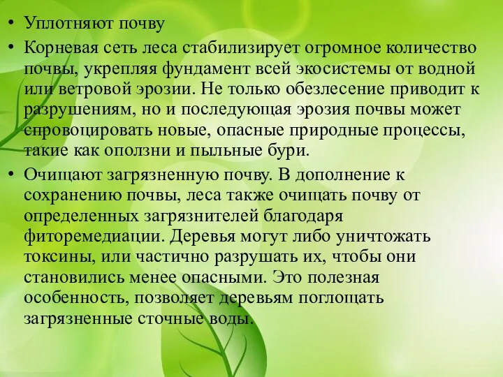 Уплотняют почву Корневая сеть леса стабилизирует огромное количество почвы, укрепляя фундамент