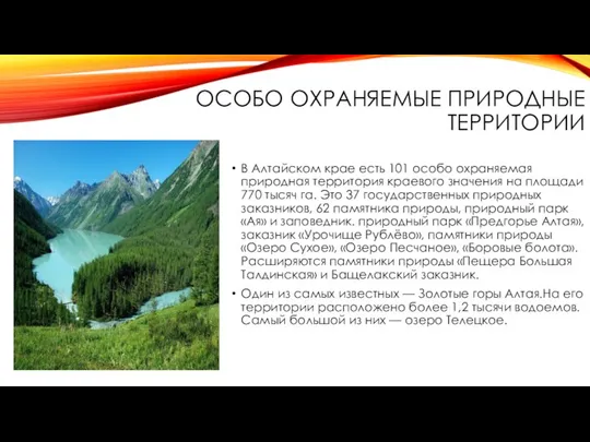 ОСОБО ОХРАНЯЕМЫЕ ПРИРОДНЫЕ ТЕРРИТОРИИ В Алтайском крае есть 101 особо охраняемая