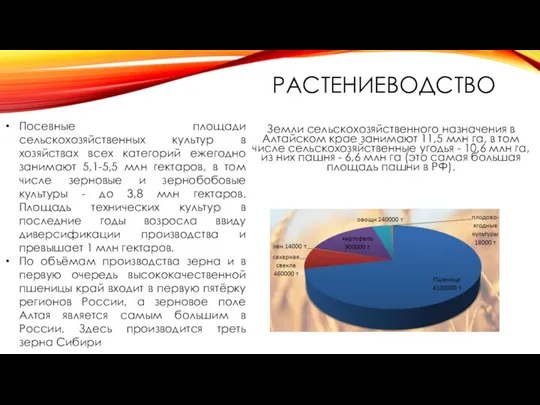 РАСТЕНИЕВОДСТВО Земли сельскохозяйственного назначения в Алтайском крае занимают 11,5 млн га,