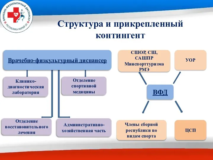 Структура и прикрепленный контингент Отделение спортивной медицины Клинико-диагностическая лаборатория Отделение восстановительного