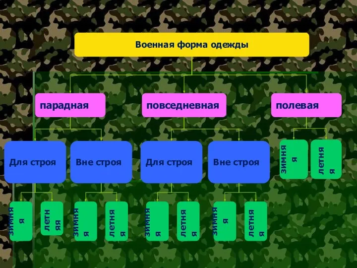 Военная форма одежды парадная повседневная полевая Для строя Вне строя Для