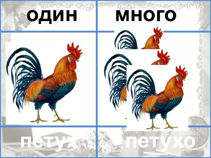 помидор помидоров один много петух петухов один много