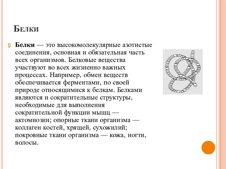 Белки Белки — это высокомолекулярные азотистые соединения, основная и обязательная часть