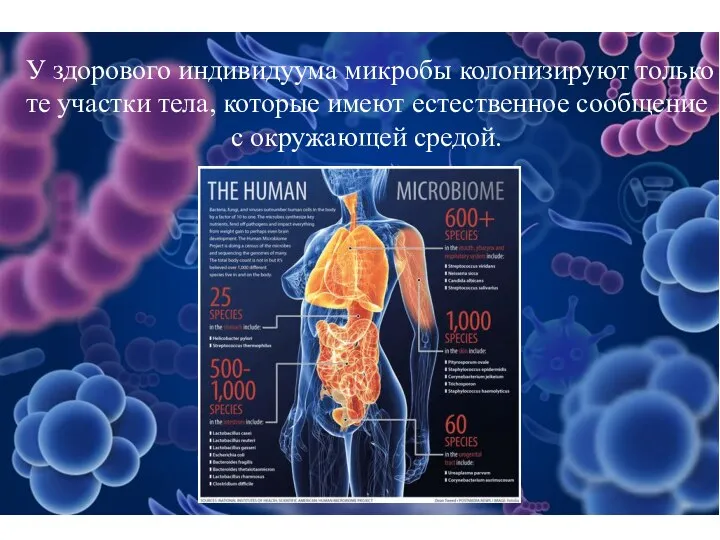 У здорового индивидуума микробы колонизируют только те участки тела, которые имеют естественное сообщение с окружающей средой.