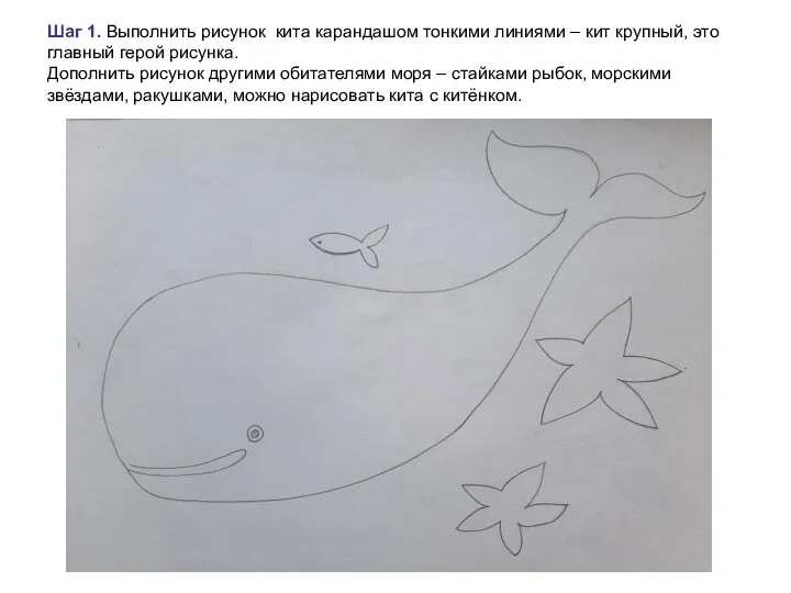 Шаг 1. Выполнить рисунок кита карандашом тонкими линиями – кит крупный,