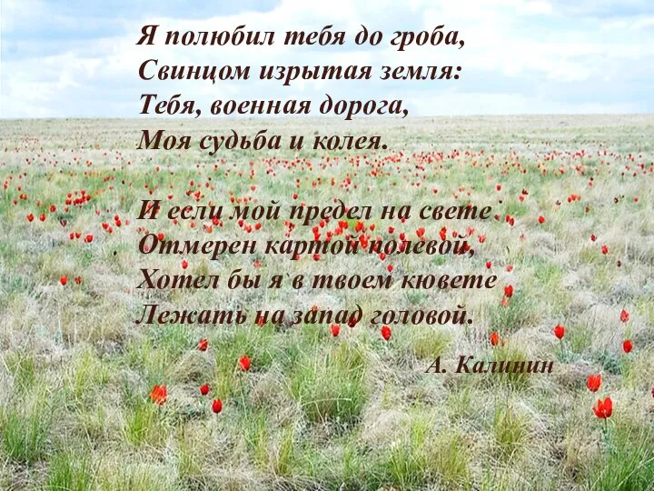 Я полюбил тебя до гроба, Свинцом изрытая земля: Тебя, военная дорога,