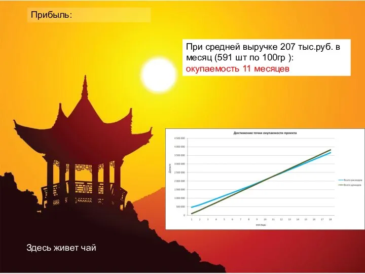 Здесь живет чай Прибыль: При средней выручке 207 тыс.руб. в месяц