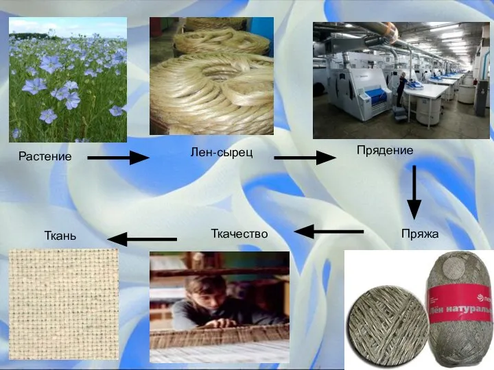 Растение Лен-сырец Прядение Пряжа Ткачество Ткань Лен