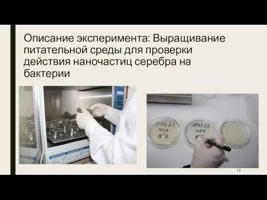 Описание эксперимента: Выращивание питательной среды для проверки действия наночастиц серебра на бактерии